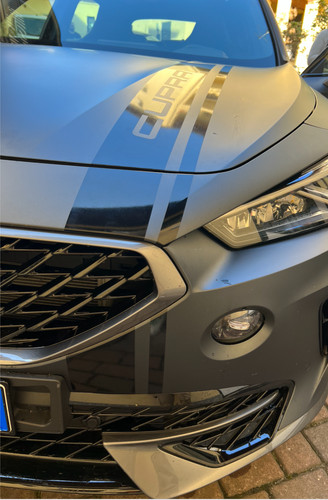 Cupra motorhaubenaufkleber - cupra,