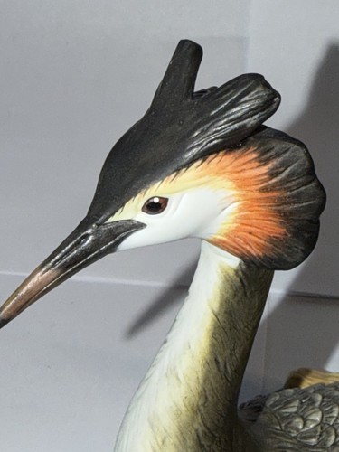 Goebel haubentaucher vogel des - haubentaucher,